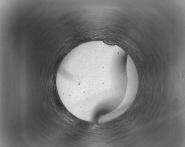 X0000071960756200608041619