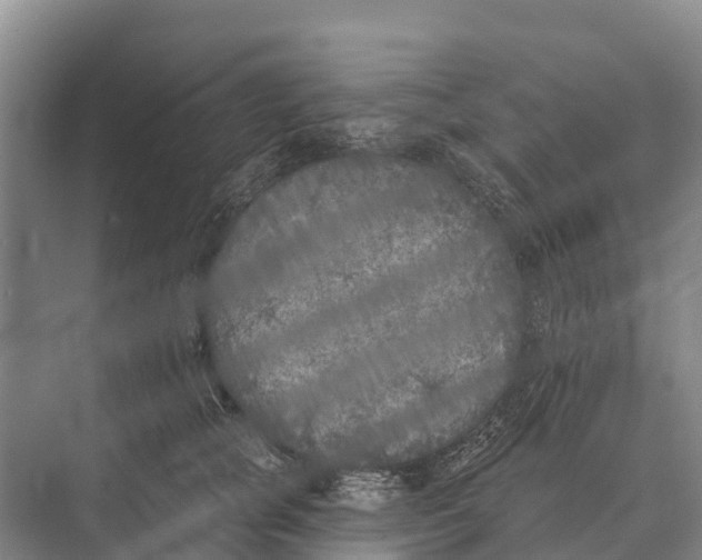 X0000071960757200608041619