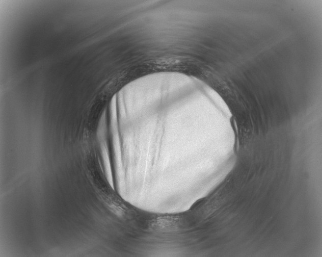 X0000071960758200608041619