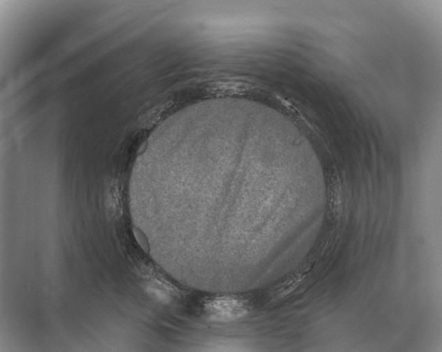 X0000071960759200608041619