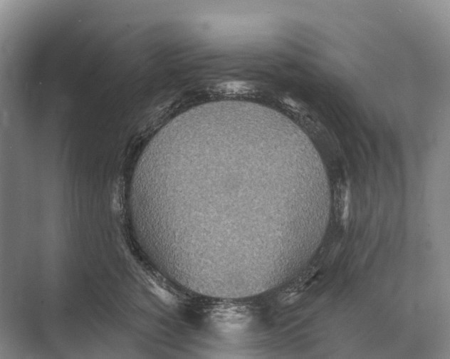 X0000071960760200608041619