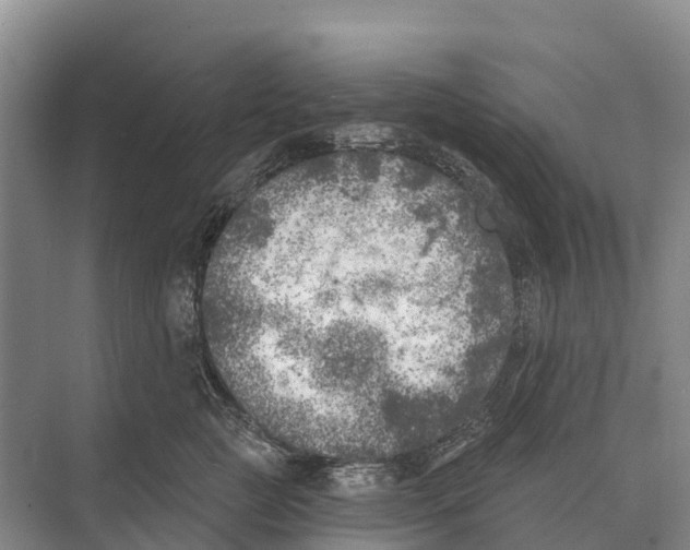 X0000071960761200608041619