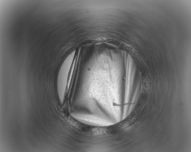 X0000071960762200608041619