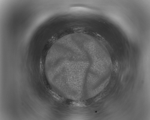 X0000071960763200608041619