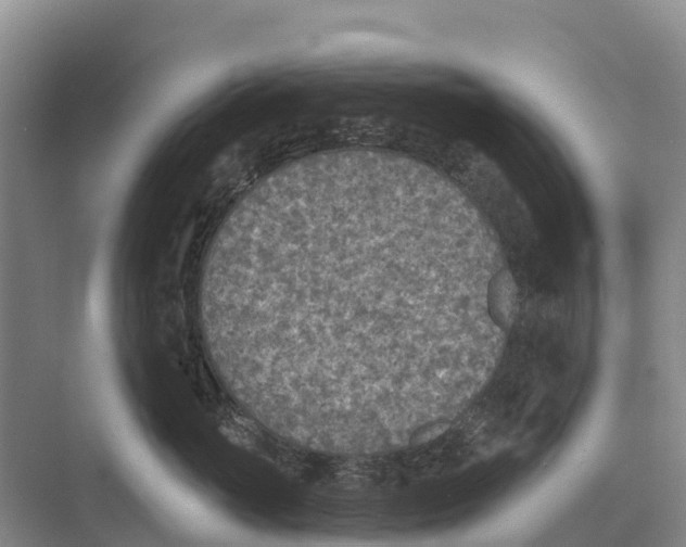 X0000071960765200608041619