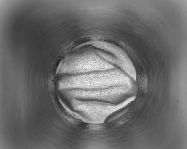 X0000071960766200608041619