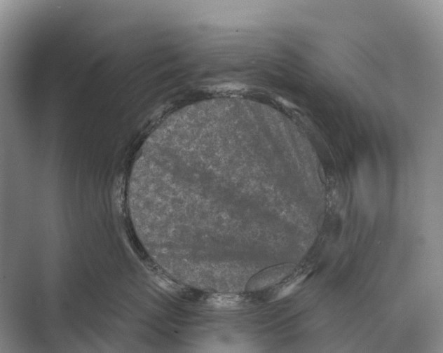 X0000071960767200608041619