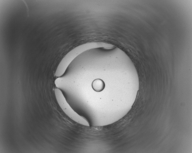 X0000071960768200608041619