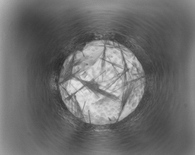 X0000071960770200608041618