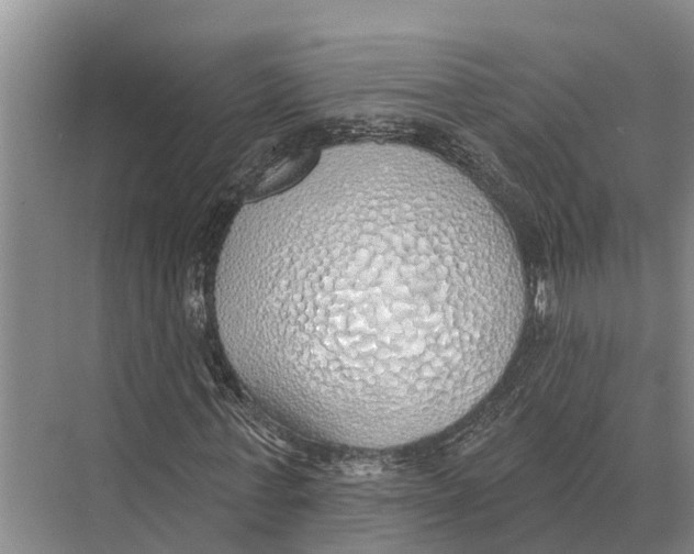 X0000071960771200608041618