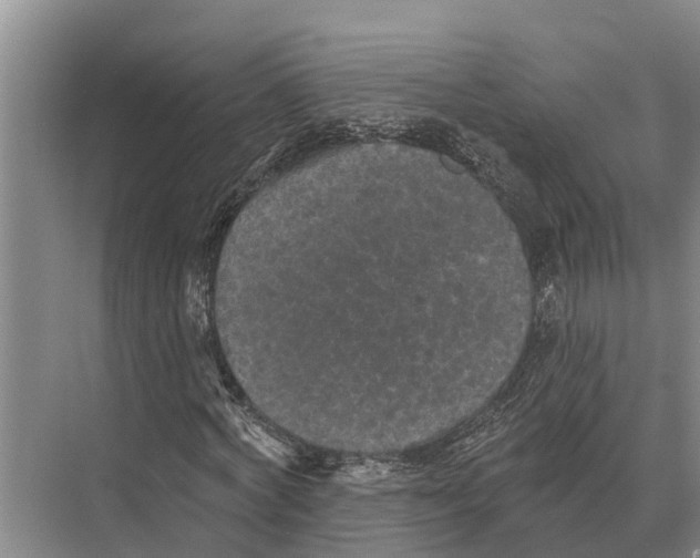 X0000071960772200608041618