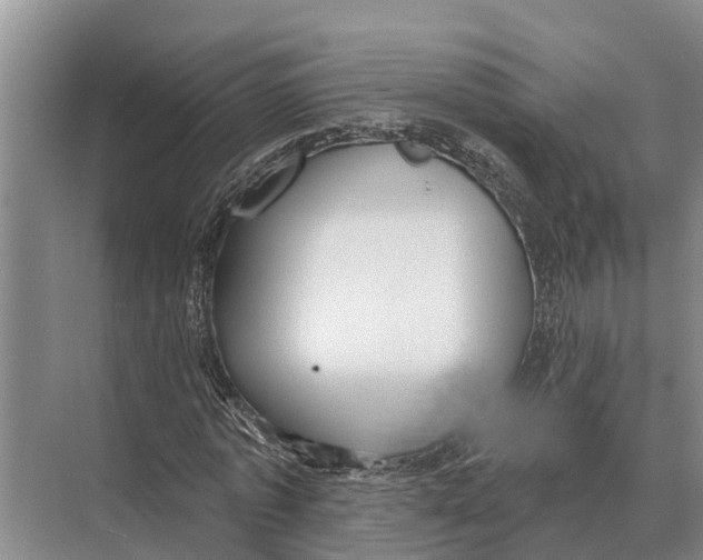 X0000071960773200608041618