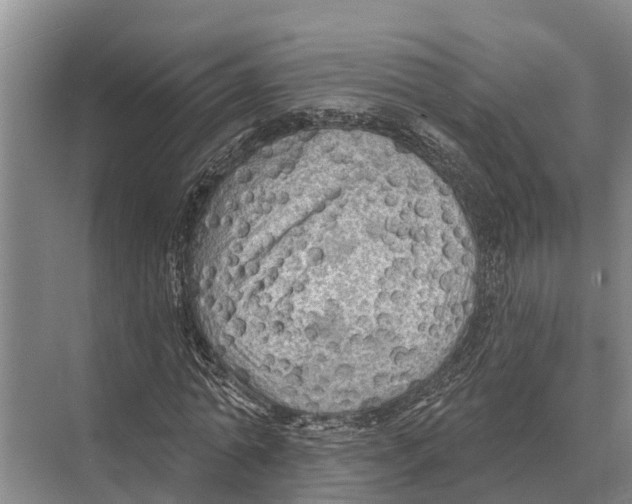 X0000071960774200608041618