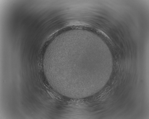 X0000071960775200608041618