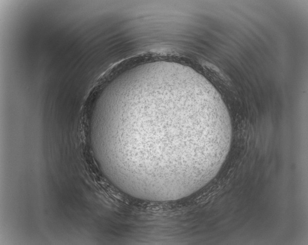 X0000071960776200608041618