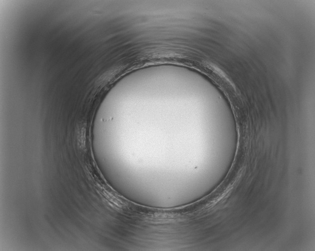 X0000071960777200608041618