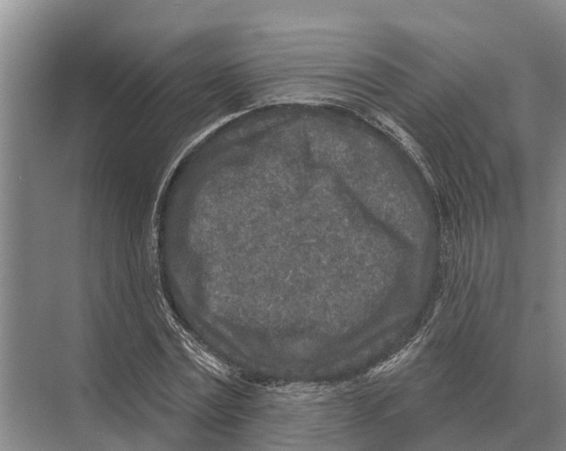 X0000071960779200608041618