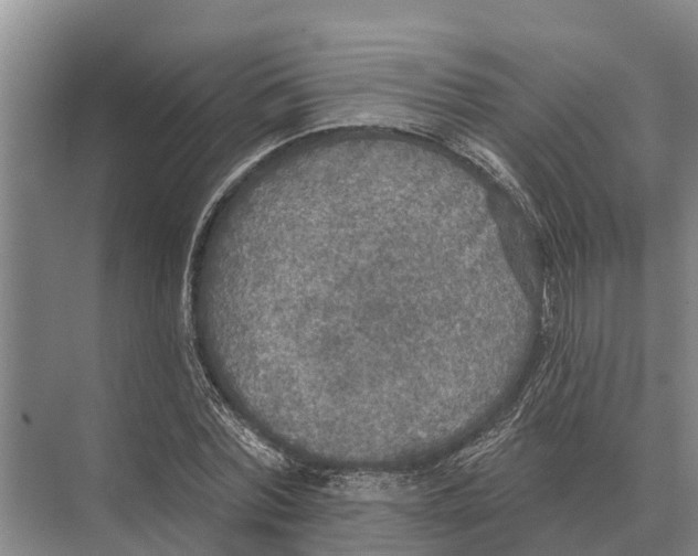 X0000071960780200608041618