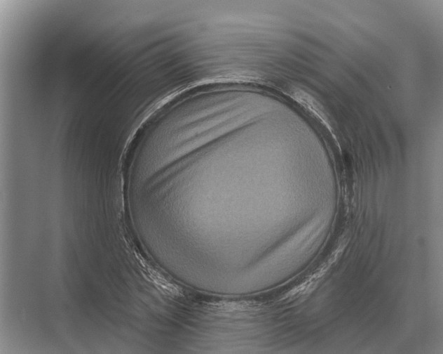 X0000071960781200608041618