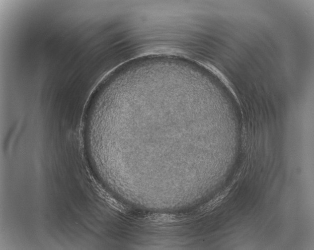 X0000071960783200608041618