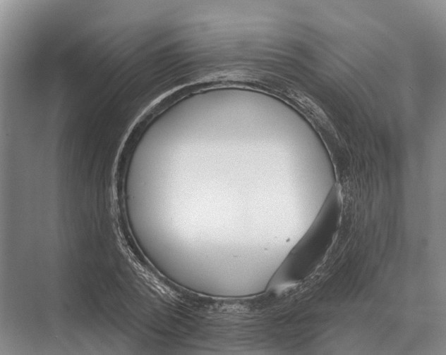 X0000071960784200608041618