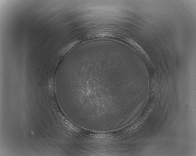 X0000071960785200608041618