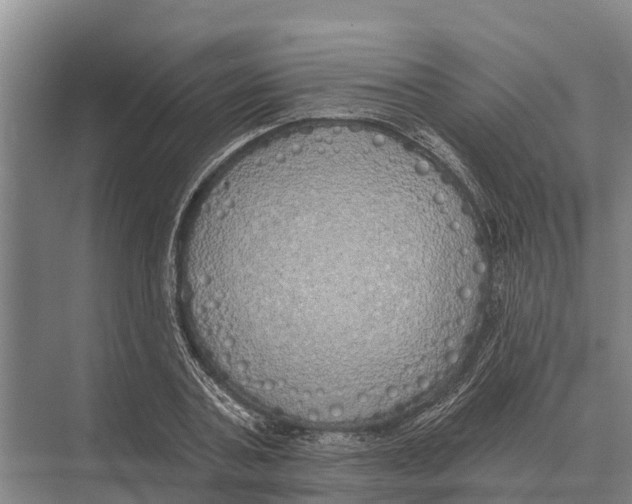 X0000071960787200608041618