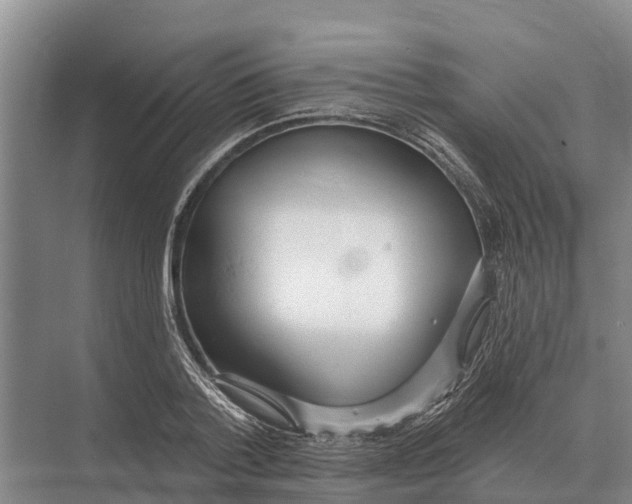 X0000071960788200608041618