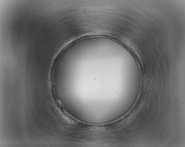 X0000071960789200608041618