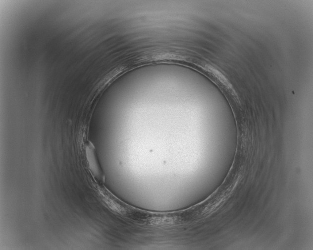 X0000071960793200608041618