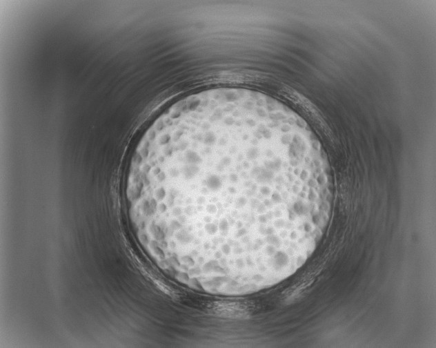 X0000071960794200608041618