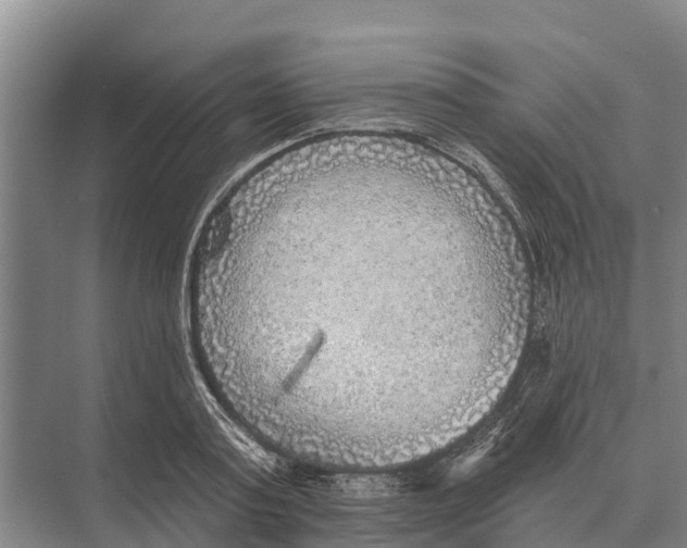 X0000071960795200608041618