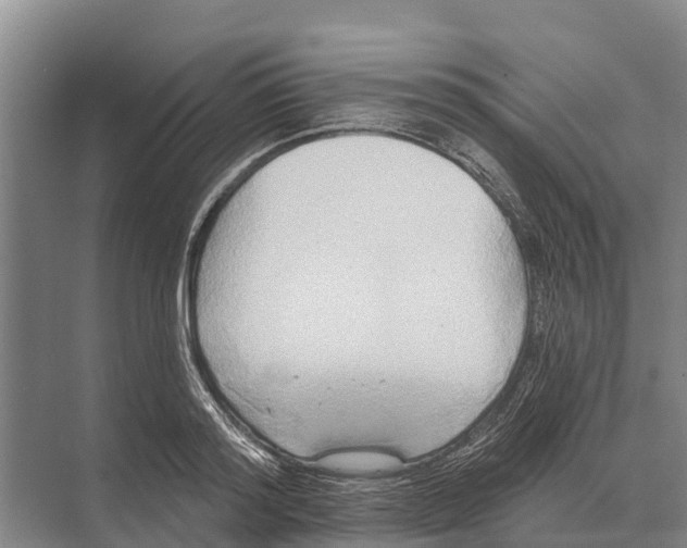 X0000071960796200608041618