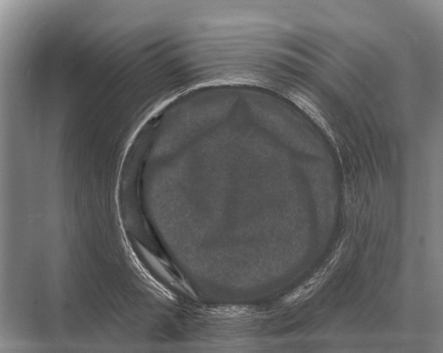 X0000071960797200608041618