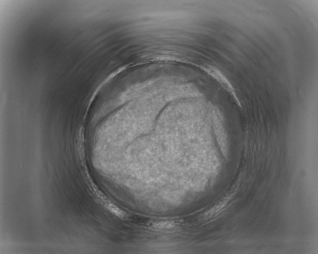 X0000071960798200608041618