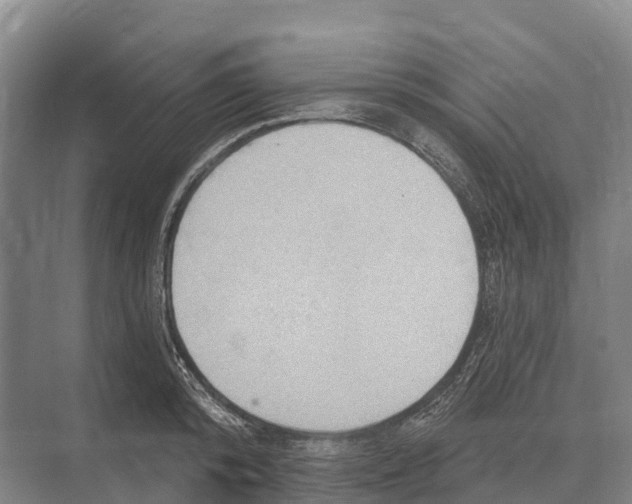 X0000071960800200608041618