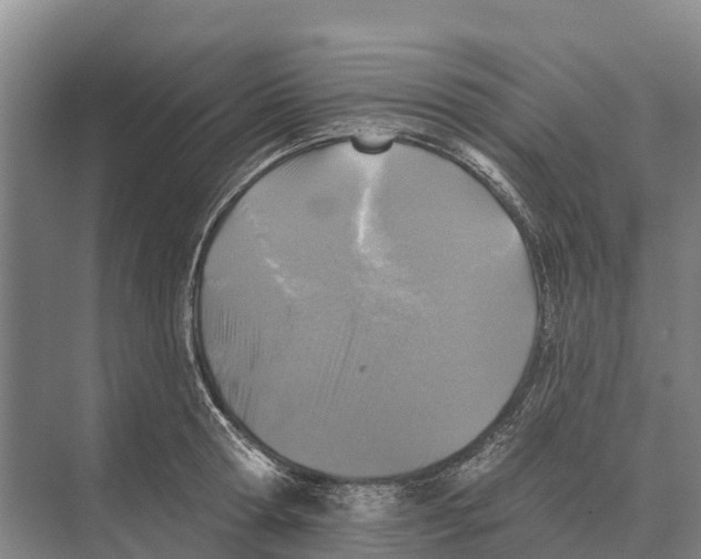 X0000071960802200608041618