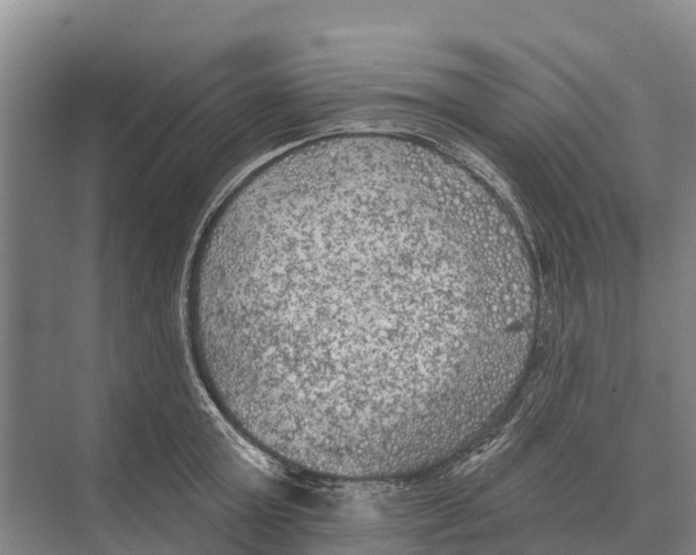 X0000071960803200608041618