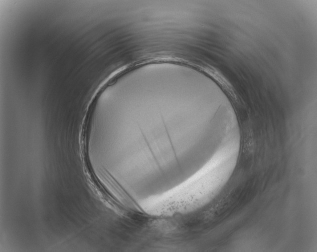 X0000071960806200608041618