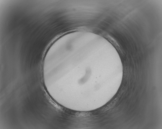 X0000071960808200608041618