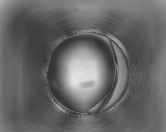 X0000071960809200608041617