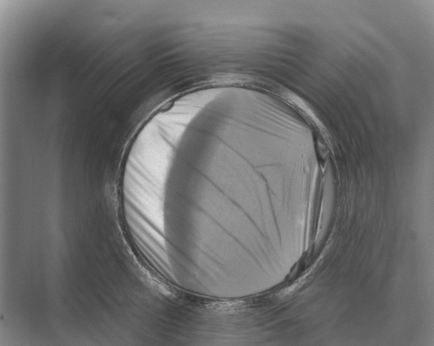 X0000071960810200608041617