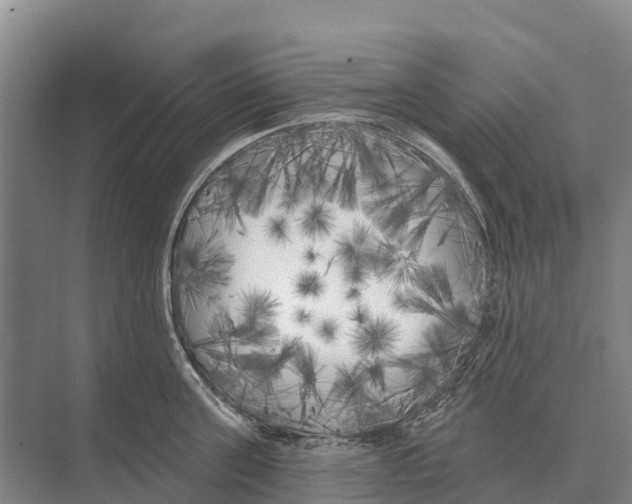 X0000071960811200608041617