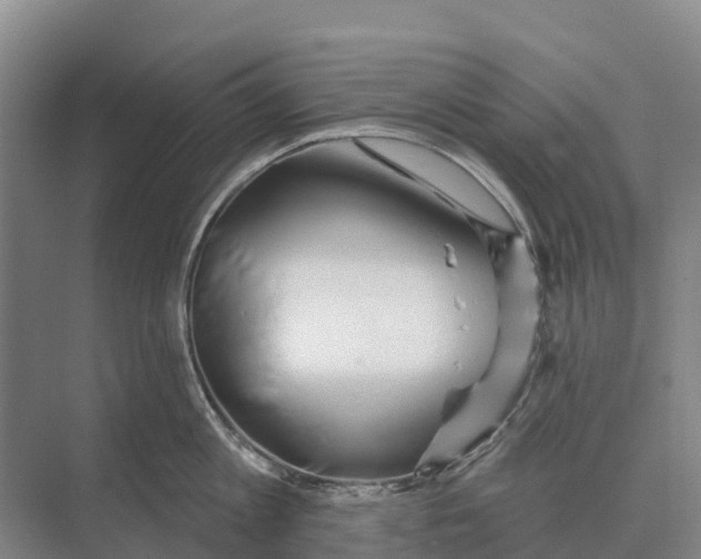 X0000071960813200608041617