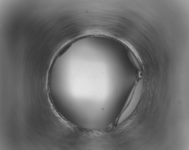 X0000071960815200608041617