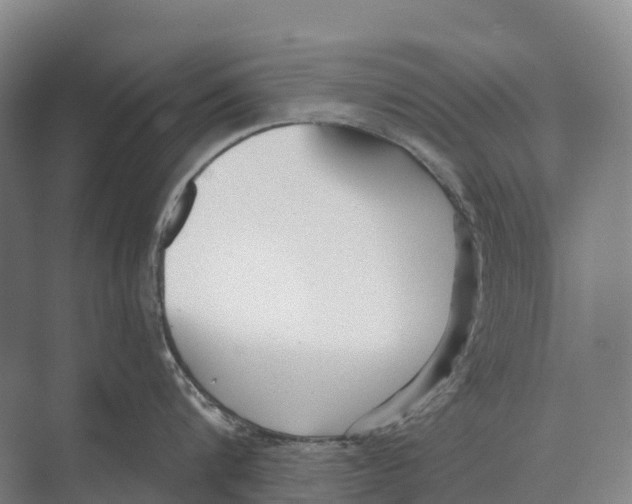 X0000071960816200608041617