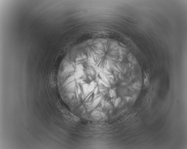 X0000071960819200608041617