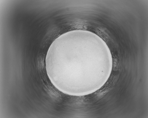 X0000071960820200608041617