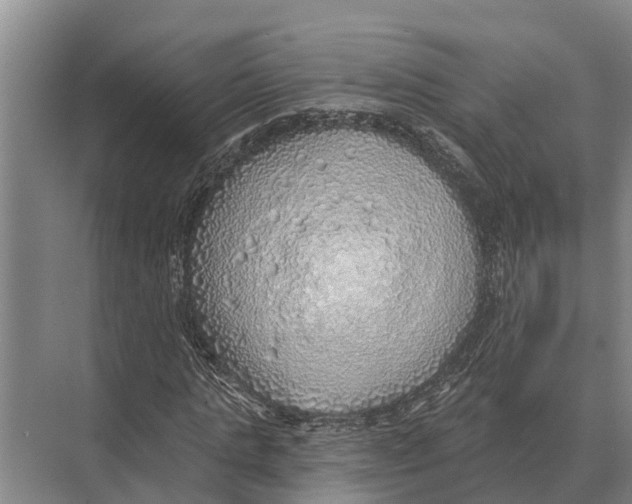 X0000071960821200608041617