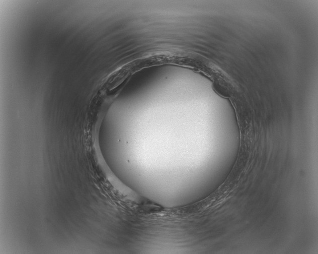 X0000071960822200608041617